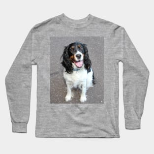 english springer spaniel black white tan sitting Long Sleeve T-Shirt